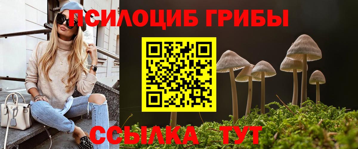 Минеральные Воды  Галлюциногенные грибы Cubensis  Вход с VPN  Галлюциногенные грибы мицелий 