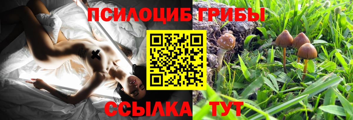 А ПВП СК   Лсд 25  Меф МЯУ МЯУ   Гашиш  ГАШ  Минеральные Воды  Cocaine  Вход с VPN  Марихуана 
