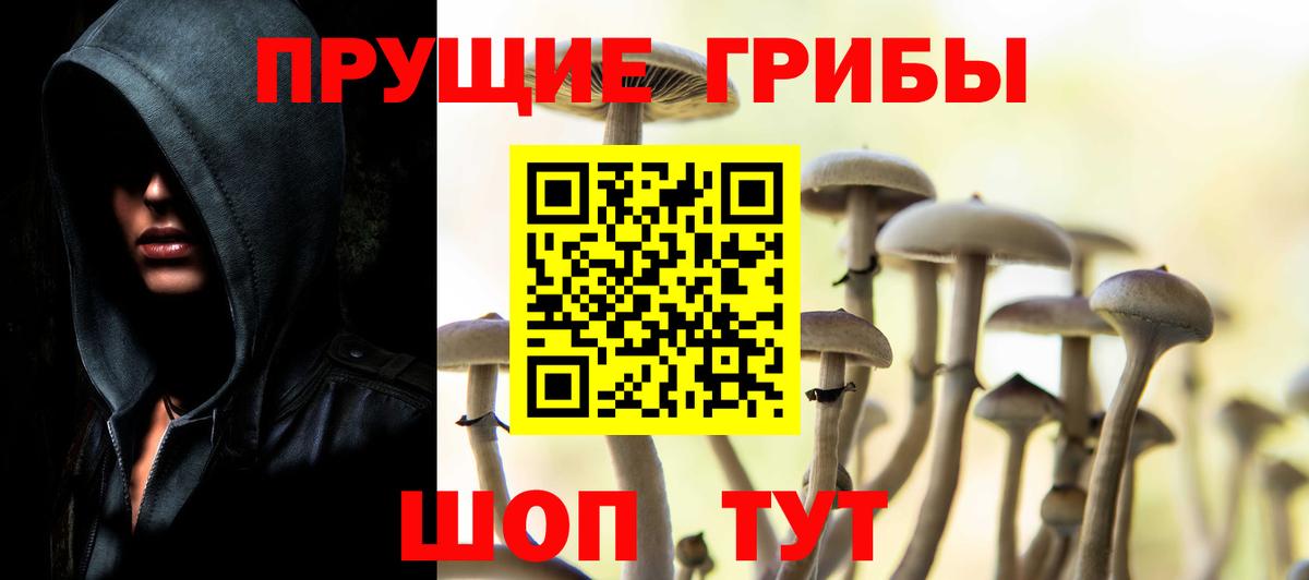 Галлюциногенные грибы Cubensis Минеральные Воды
